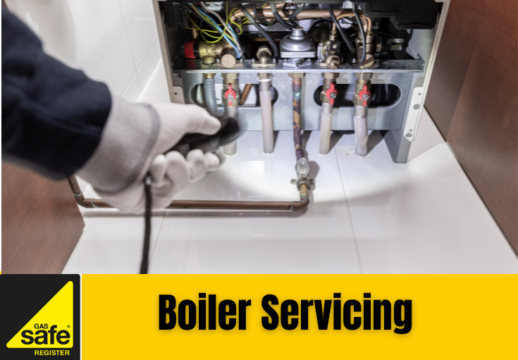 boiler service Paddock Wood